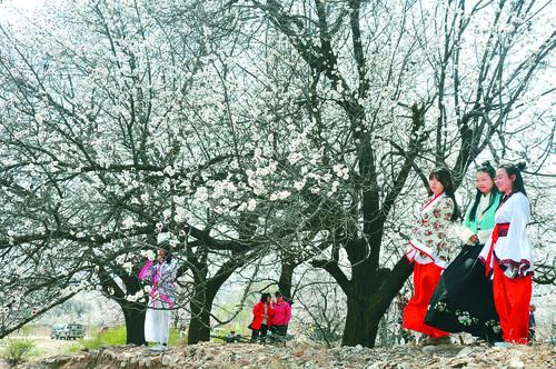 2026世界杯官方入口